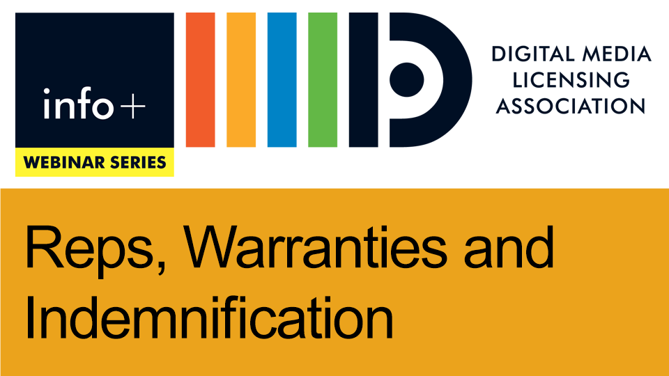 Reps, Warranties and Indemnities
